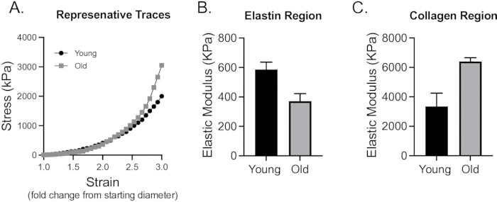 figure-results-8 Stress-strain graph and bar charts comparing elastic modulus in young and old tissues; structural analysis.