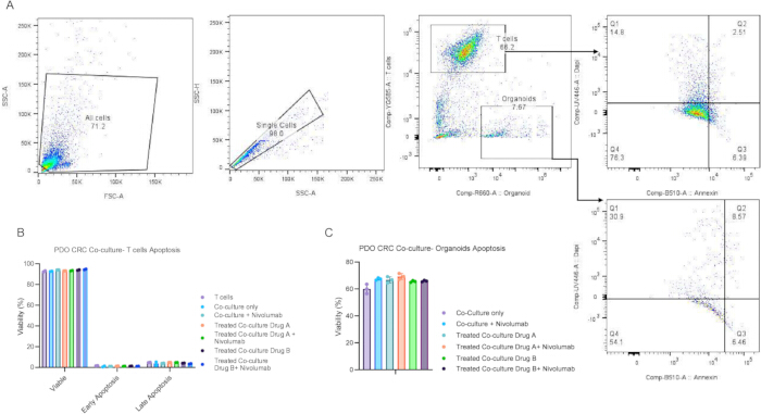 Flow cytometry data analysis; includes cell viability graphs. Diagram of cell apoptosis experiment.