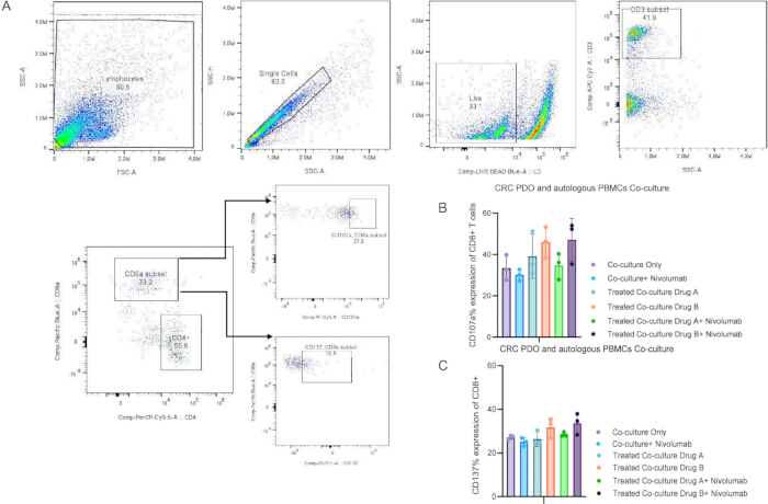 Flow cytometry analysis diagrams; CD8 T-cell subsets, CRC PDO, PBMC co-culture; activation study.