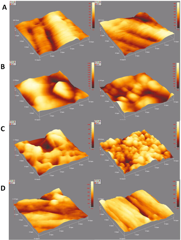 figure-results-3 Atomic force microscopy diagrams showing surface topography variations for different samples.