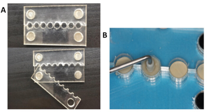 figure-results-4 Microfluidic chip design and injection setup for lab-on-a-chip applications in biomedical research.