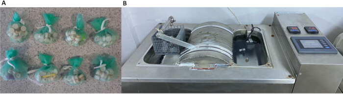 figure-results-6 Biodegradation bags setup and industrial reactor for polymer decomposition process study.