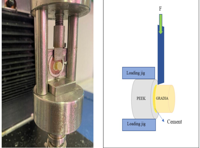 figure-results-7 Force application on PEEK-cement interface; mechanical testing setup, stress analysis diagram.