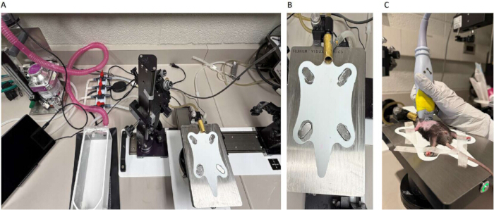 Laboratory setup with imaging equipment and animal subject for biomedical research analysis.