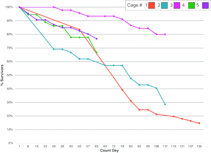 figure-results-1