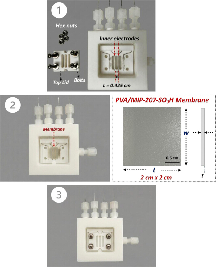 figure-protocol-5
