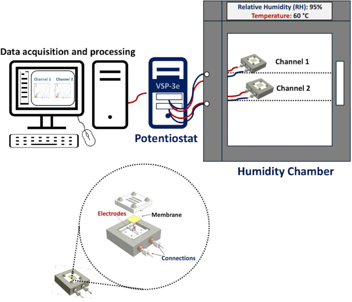 figure-protocol-6
