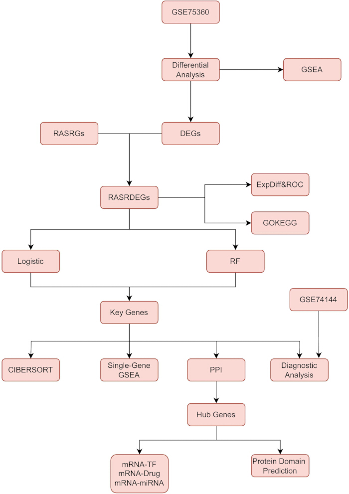 Gene expression analysis flowchart showing differential analysis, GSEA, RASRDEGs, key genes, PPI.