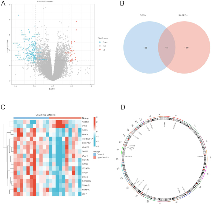 Gene expression analysis; includes volcano plot, Venn diagram, heatmap, ideogram; bioinformatics.