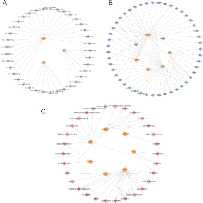 Gene interaction network diagrams showing node relationships; panels A, B, C represent different datasets.