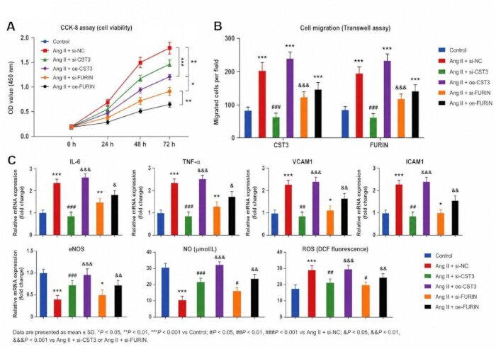 CCK-8 assay graph, Transwell assay, mRNA, protein expression bar charts, cell viability study results.