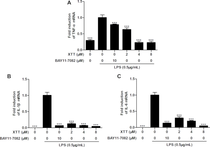 figure-results-3 figure-results-3