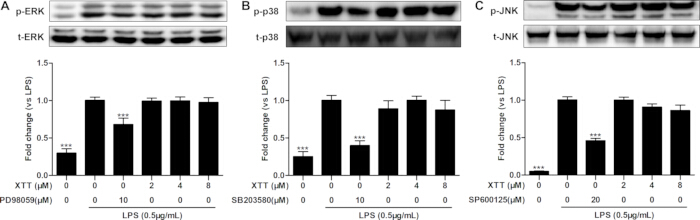 figure-results-4 figure-results-4