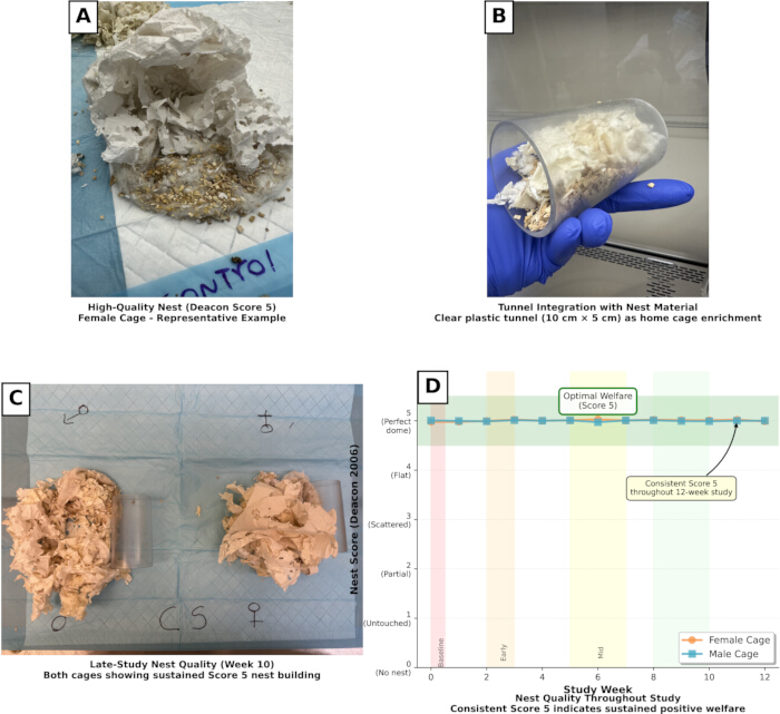figure-protocol-1 Nest building assessment; equations used: Deacon Score, method: tunnel integration; includes diagram, cage enrichment, welfare score analysis.