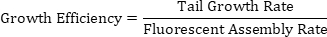 Growth efficiency formula: Tail Growth Rate/Fluorescent Assembly Rate, mathematical equation.
