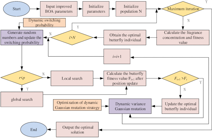 Butterfly Optimization Algorithm flowchart, illustrating dynamic variance mutation and Gaussian strategy.