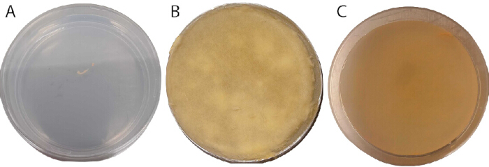 図1