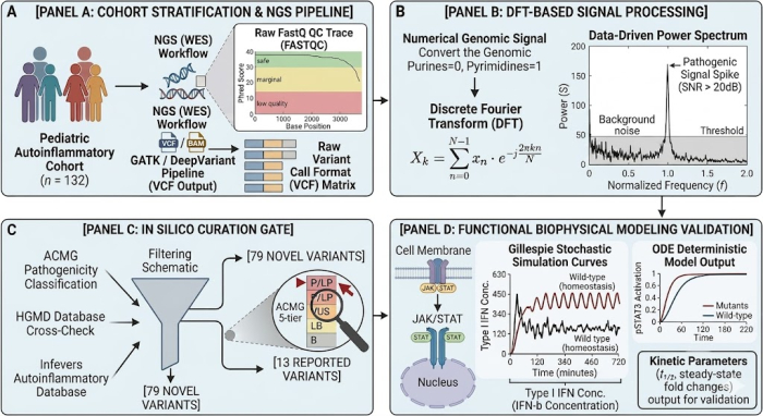 Pediatric autoinflammatory cohort NGS workflow; DFT-based signal processing; biophysical model validation; in silico curation gate; genomic analysis diagram.