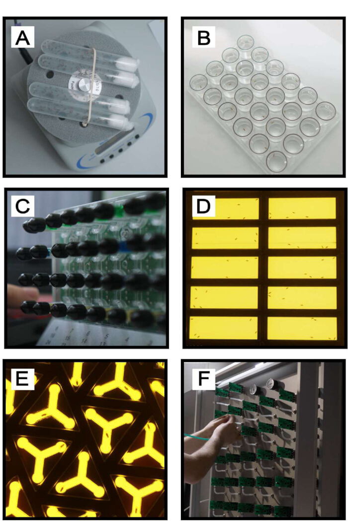 Rotary incubator with test tubes, array of Petri dishes, close-up on circuitry, array of yellow panels, illuminated LED panels, control panel with connected tubes.