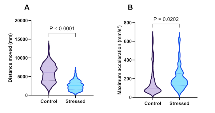 Violin plot comparing distance moved, max acceleration; control vs. stressed; P values; data analysis.
