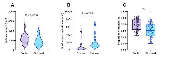 Violin and box plots comparing control and stressed groups in movement, acceleration, and turns.