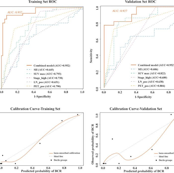 figure-results-1 ROC curves with AUC values, calibration plots for training and validation in prognostic model analysis.