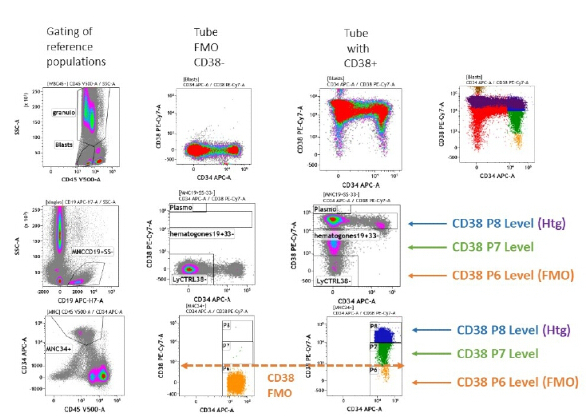 figure-results-4 Flow cytometry diagram showing cell population gating, CD38 expression analysis, and FMO controls.