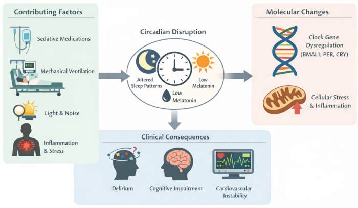 figure-protocol-1 Circadian disruption diagram; factors, molecular changes, and clinical consequences; sleep patterns.