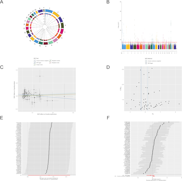 figure-results-11 Genetic study diagrams: circular plot, Manhattan plot, scatter plots, forest plots, SNP analysis results.