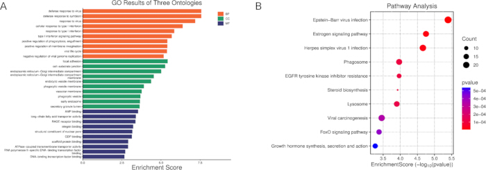 figure-results-2 Gene ontology and pathway analysis charts; enrichment scores; p-value; color-coded bar and bubble plots.