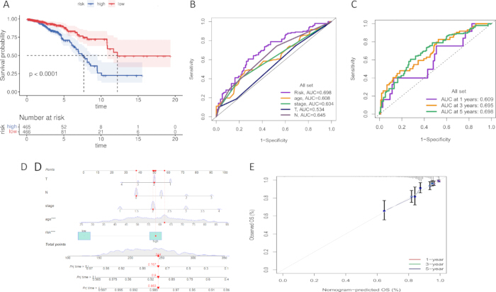 figure-results-3 Kaplan-Meier survival analysis, ROC curves, nomogram, calibration plot; clinical data prognostic study.