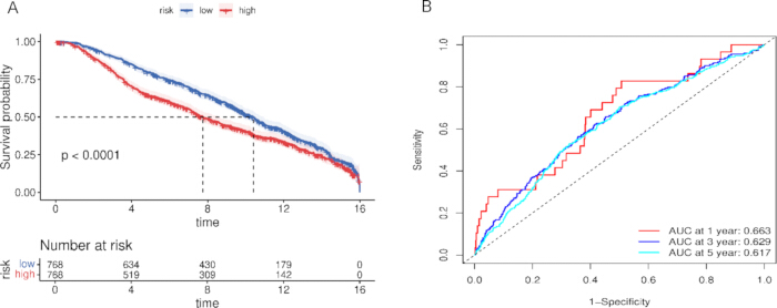 figure-results-4 Survival analysis charts, Kaplan-Meier curves of risk groups; ROC curve for AUC over time intervals.