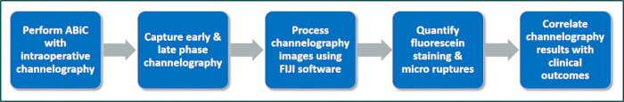 Channeled ABiC process using fluoroscein, FIJI analysis; clinical outcome correlation diagram.