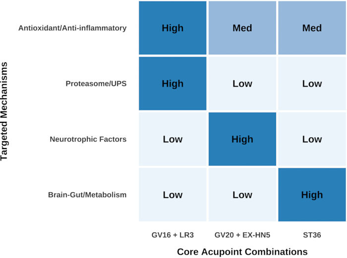 Acupuncture mechanisms chart; antioxidant, proteasome, neurotrophic, metabolism effects; data matrix.
