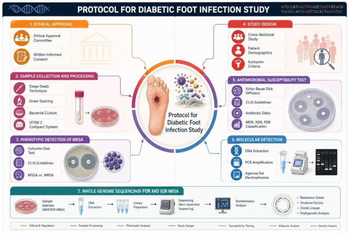Diabetic foot infection study protocol diagram; swabbing, staining, sequencing, and susceptibility testing.