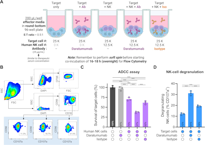 figure-results-1 Flow cytometry method with NK cells in ADCC assay; includes Daratumumab and Isotype controls.