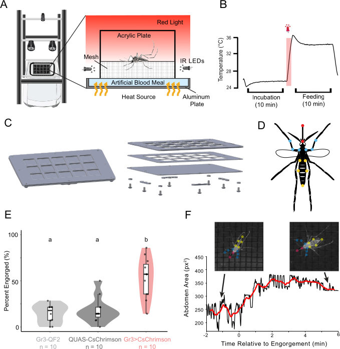 Mosquito feeding experiment setup, data analysis charts, artificial blood meal diagram, temperature graph.