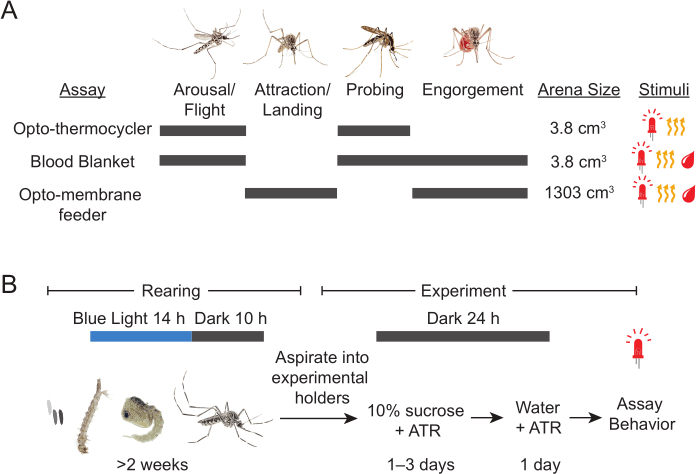 Mosquito behavior assay chart; methods: opto-thermocycler, blood blanket; stimuli: heat, CO2.