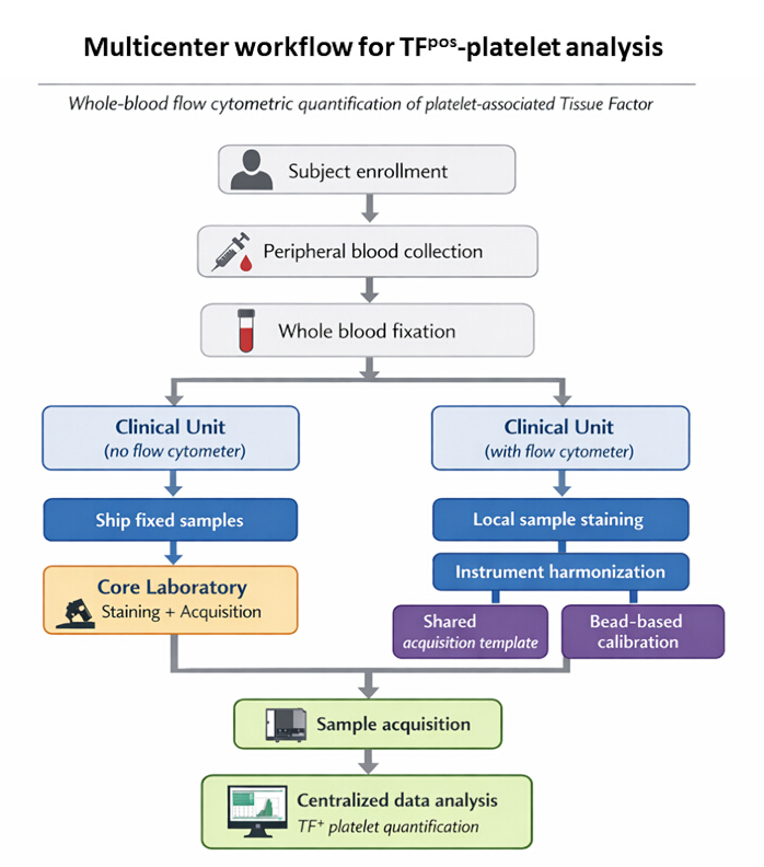 Multicenter workflow diagram for TF⁺ platelet analysis using flow cytometry and sample staining.