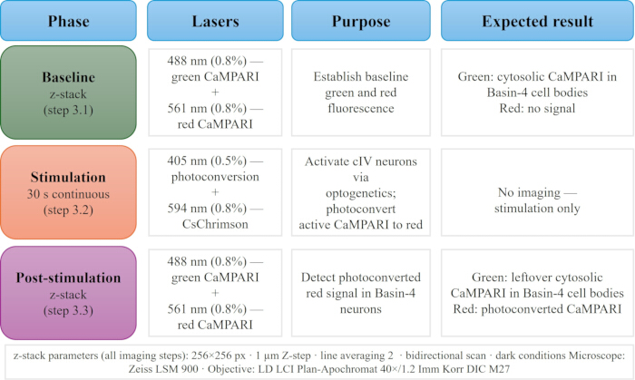 figure-protocol-1