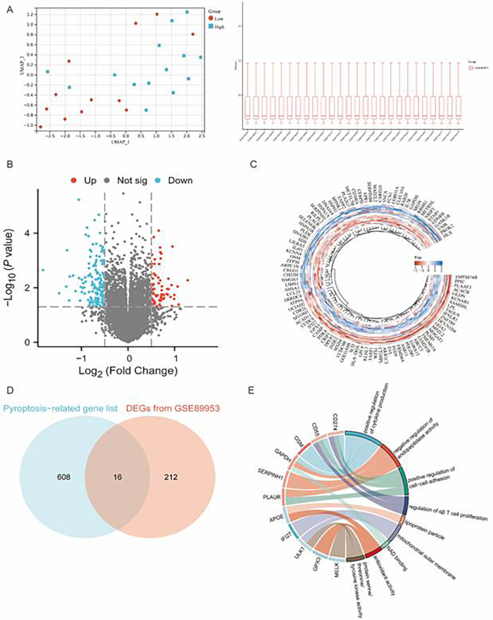 figure-results-1 Gene expression analysis; scatter, box, volcano, circo plots; Venn diagram of DEGs; bioinformatics.