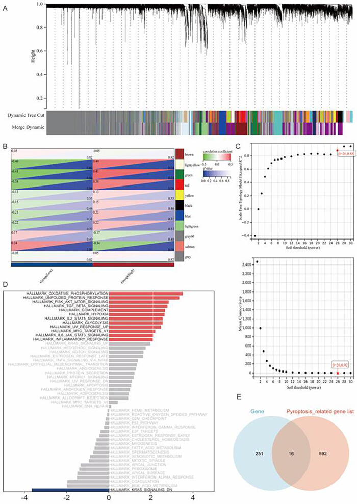 figure-results-2 Gene expression analysis; A-C: hierarchical clustering, correlation diagrams; D: pathway enrichment; E: Venn diagram.
