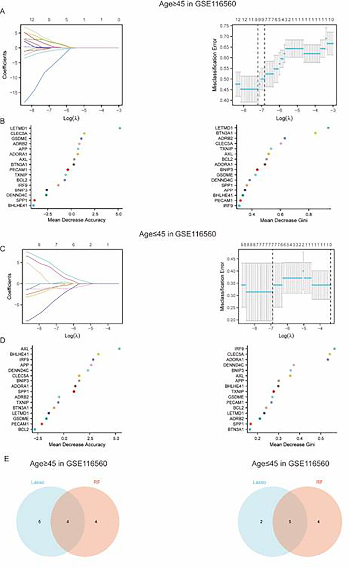 figure-results-3 Lasso and RF regression plot, accuracy vs Gini index, Venn diagram for age groups in dataset GSE116560.
