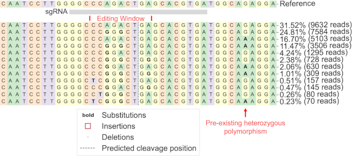 figure-results-5 CRISPR gene editing sequence; diagram with sgRNA, editing window, substitutions, insertions, deletions.