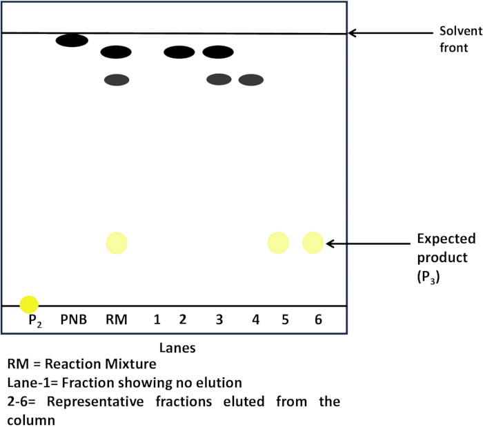 figure-protocol-2