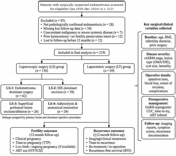 Flowchart of endometriosis surgery analysis; laparoscopic and laparotomic procedures; outcomes included.