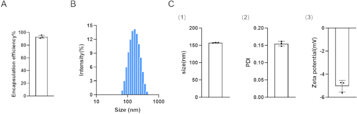 Encapsulation efficiency, size distribution, and zeta potential analysis; bar chart, histogram; nanoparticle study.