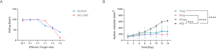 Graph showing cell killing rates and tumor volume growth under different conditions; comparison charts.