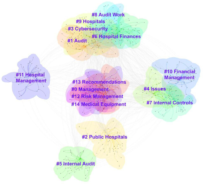 figure-results-3 Audit network diagram with clusters: cybersecurity, hospital finances, management, internal audit.