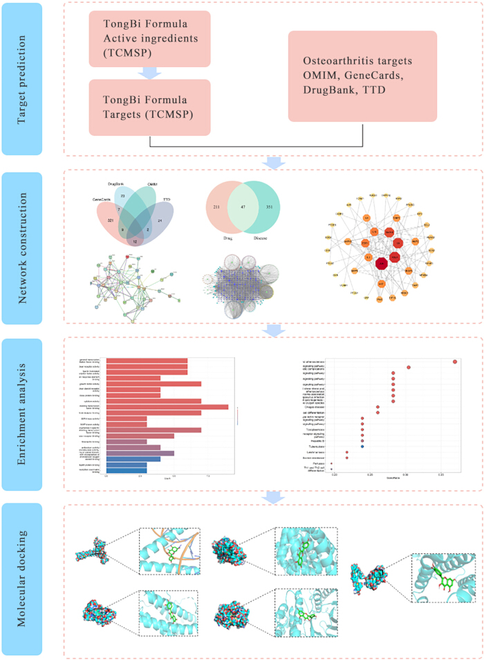 figure-introduction-1 TongBi Formula analysis: target prediction flowchart, network construction, enrichment analysis, docking.